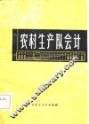 农村生产队会计