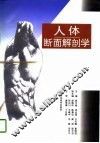 人体断面解剖学