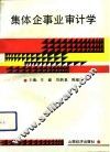 集体企事业审计学