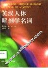 英汉人体解剖学名词