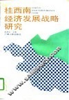 桂西南经济发展战略研究