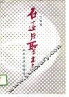 在这片圣土上