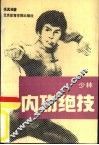 少林内功绝技