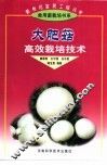 大肥菇高效栽培技术