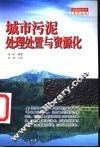 城市污泥处理处置与资源化