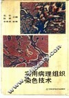 实用病理组织染色技术