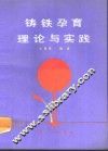 铸铁孕育理论与实践