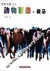 动物百态  骏马