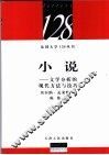 小说  文学分析的现代方法与技巧