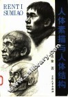 人体素描与人体结构