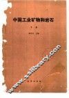中国工业矿物和岩石  下