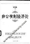 非公有制经济论
