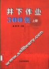 井下作业300例  上