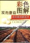 彩色图解双孢蘑菇田间栽培新技术