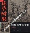 花草树果白描写生与变化