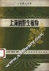 上海的野生植物