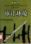 审计环境
