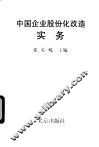 中国企业股份化改造实务