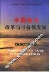 中国电力改革与可持续发展
