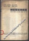 上海第一医学院  重庆医学院  神经解剖学图谱