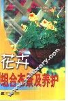 花卉组合布景及养护
