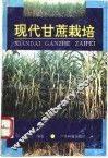 现代甘蔗栽培