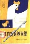 滨白鸡饲养问答
