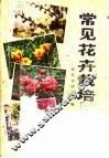 常见花卉栽培
