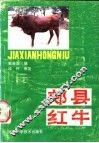 郏县红牛