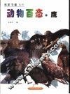 动物百态  鹰