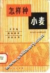 怎样种小麦
