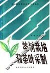 茶树栽培和茶叶采制