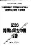 2004跨国公司在中国报告