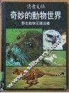 奇妙的动物世界