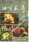 北京花卉  续编