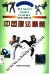 中国腿法精髓
