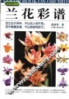 兰花彩谱