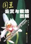 国兰鉴赏与栽培图解