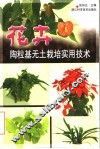 花卉陶粒基无土栽培实用技术