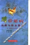 鸡常见病诊断与防治图谱