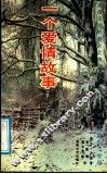 一个爱情故事