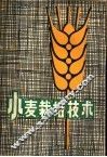 小麦栽培技术