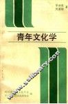 青年文化学