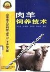 肉羊饲养技术
