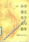 小学语文生字书写指导  上