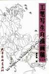 工笔白描写生画稿  3