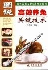图说高效养兔关键技术