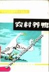农村养鸭