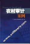 农村审计案例