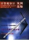 计算机审计案例选编